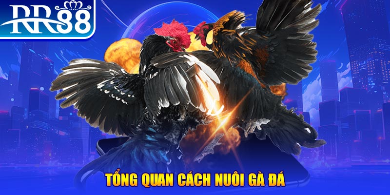 vip666 game nổ hũ rút tiền mặt là gì