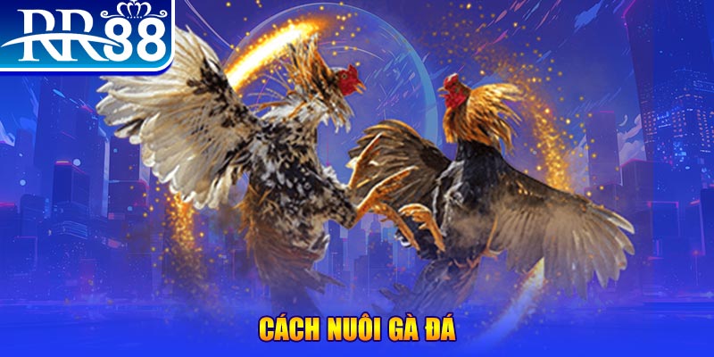 vip666 đăng nhập phỏm đổi thưởng