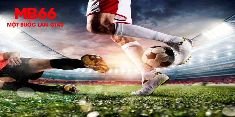 vip666 trực tiếp đá gà thomo