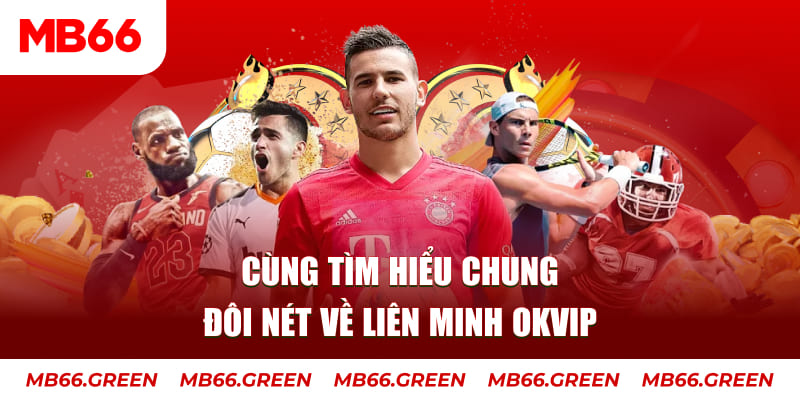 vip666 đá gà trực tiếp bình luận viên