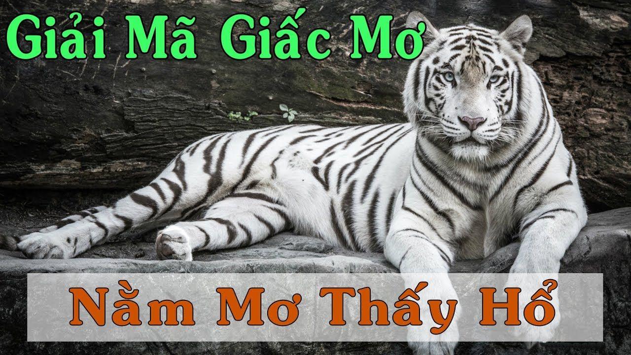 vip666 nổ hũ là game gì