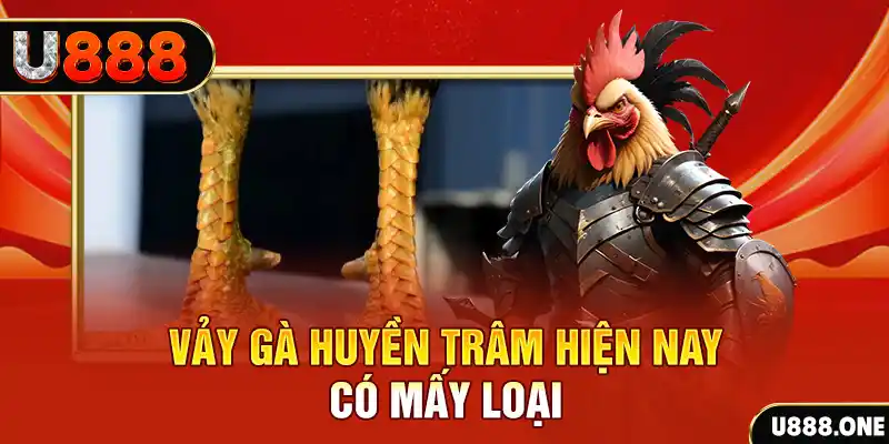 vip666 casino online là gì