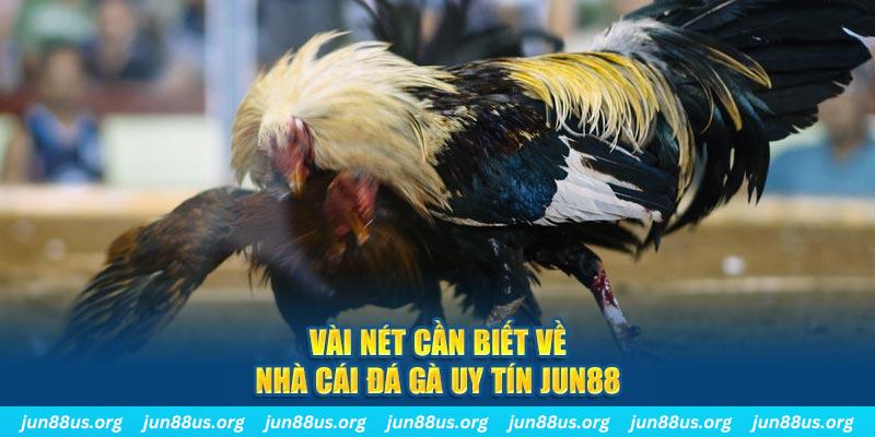 vip666 đăng nhập phỏm khuyến mãi