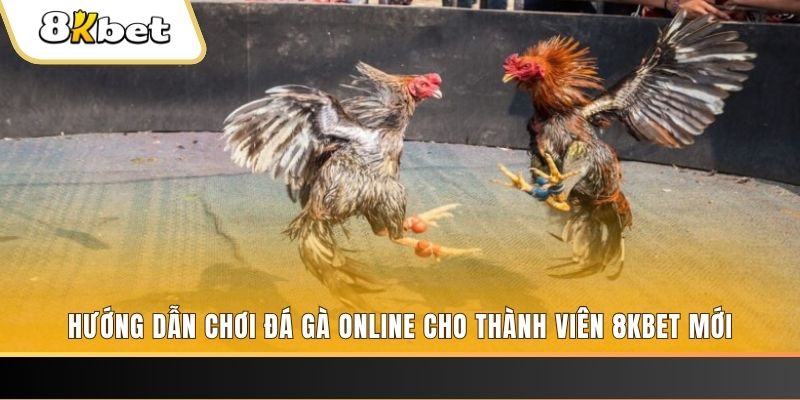 vip666 JILI Game Bài 3d