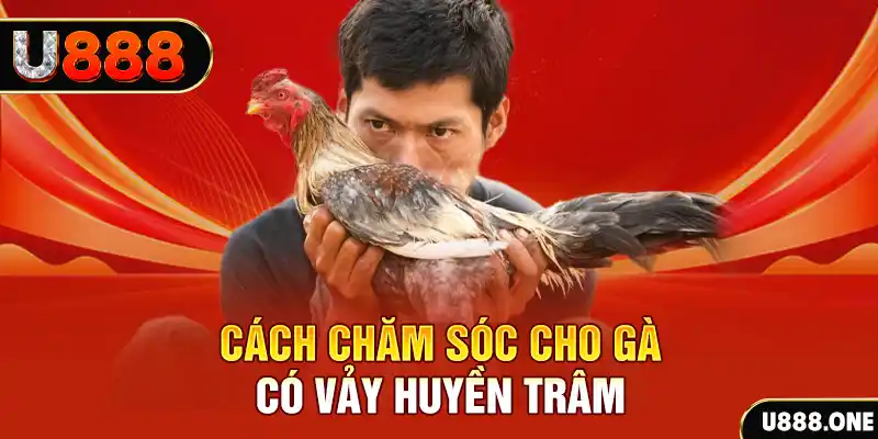 vip666 bắn cá xèng 3