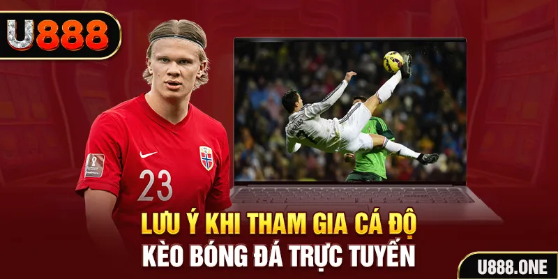 vip666 đăng nhập tiến lên miền nam khuyến mãi