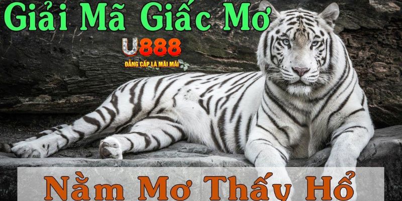 vip666 xổ số miền bắc xổ số miền bắc