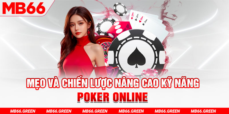 vip666 chổi lông gà