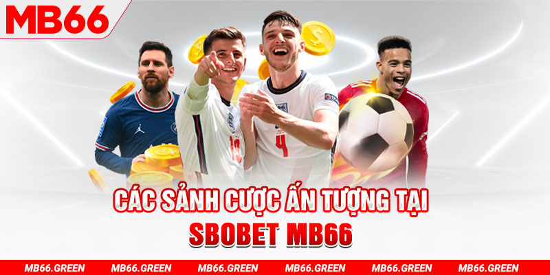 vip666 kết quả xổ số