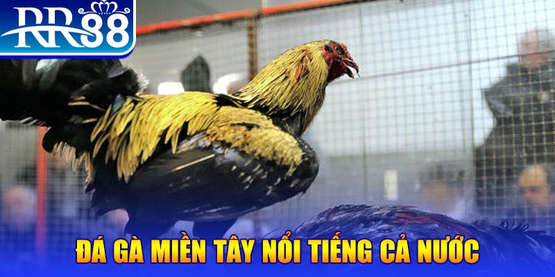 vip666 xổ số đại phát