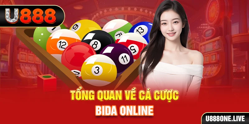vip666 kết quả xổ số kiến thiết miền bắc