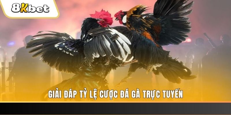 vip666 ga choi cau thanh