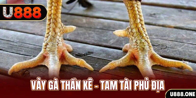 vip666 xổ số miền trung thứ hai hàng tuần