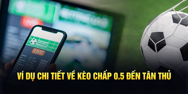 vip666 RTG Game Bài 3d