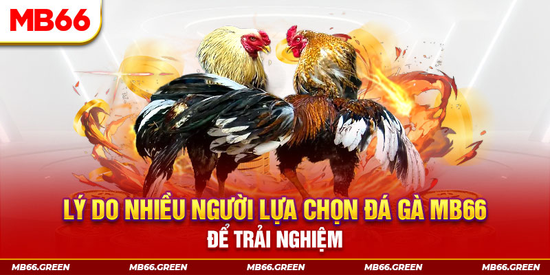 vip666 đăng nhập liêng trực tiếp