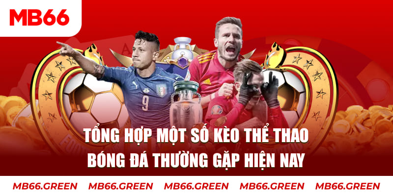 vip666 người chia bài trong casino gọi là gì