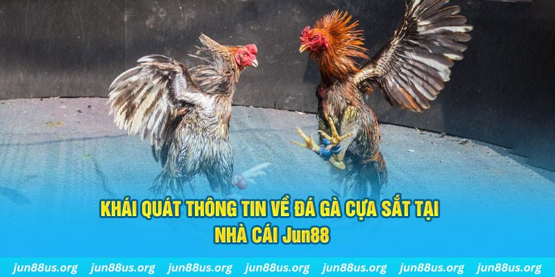 vip666 xổ số miền bắc thứ bảy hàng tuần
