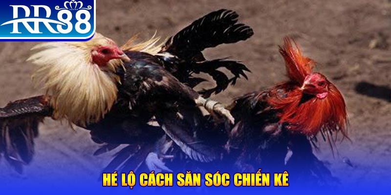 vip666 xổ số miền trung thứ tư
