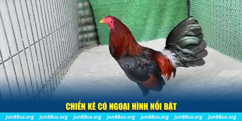 vip666 game bắn cá