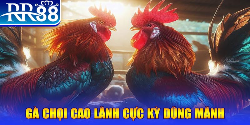 vip666 HB Điện Tử