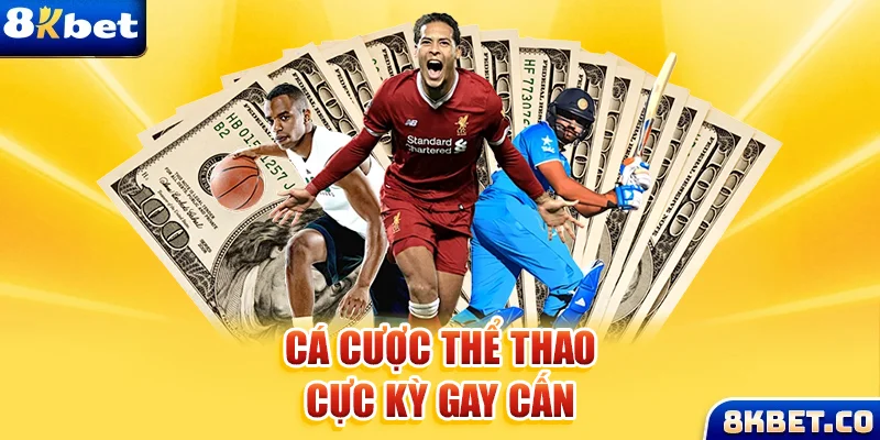vip666 xem đá gà trực tiếp